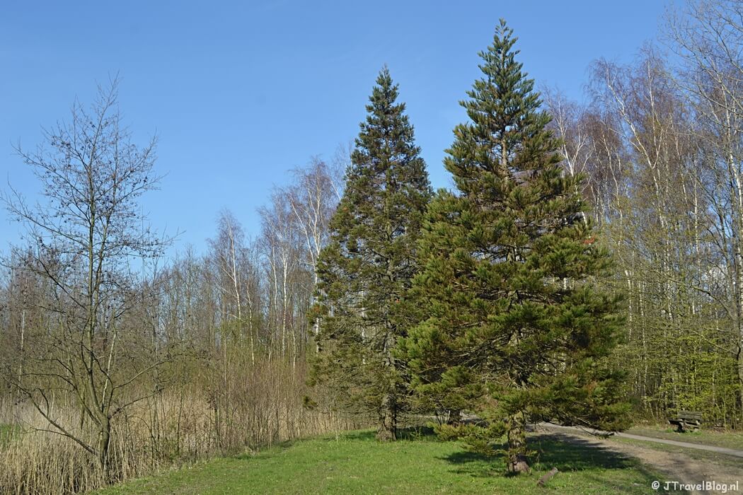 Recreatiegebied Groene Weelde tijdens de Trage Tocht Vijfhuizen