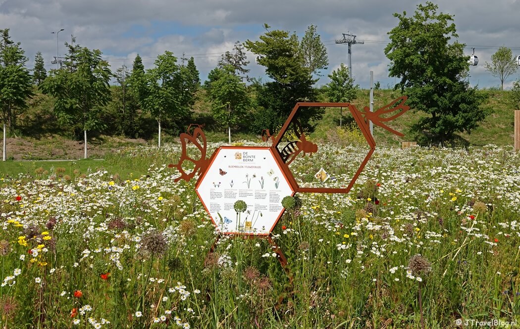 Bonte Berm op de Floriade Expo 2022 in Almere