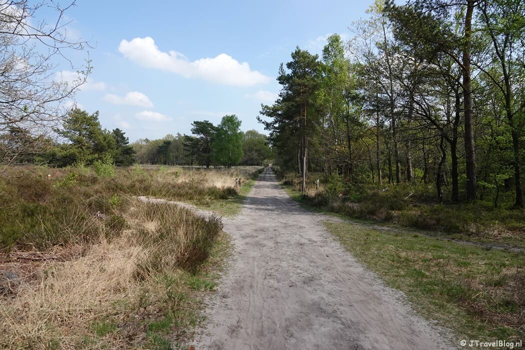 De Veluwe tijdens de 14e etappe van het Westerborkpad