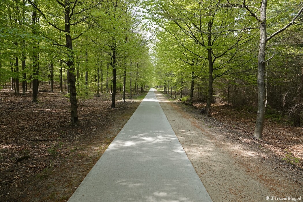 Het pad terug naar Nunspeet tijdens de 14e etappe van het Westerborkpad