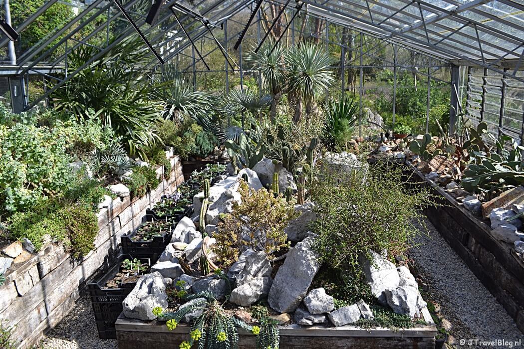 De Botanische Tuin Zuidas tijdens mijn wandeling langs het groene deel van de Amsterdamse Zuidas