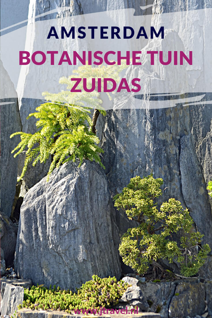 Midden in de hectiek van Amsterdam-Zuid ligt de Botanische Tuin Zuidas. Mooi, rustig en de toegang is gratis! Meer hierover lees je op mijn website, lees je mee? #botanischetuinzuidas #amsterdamzuid #amsterdam #botanischetuin #jtravel #jtravelblog