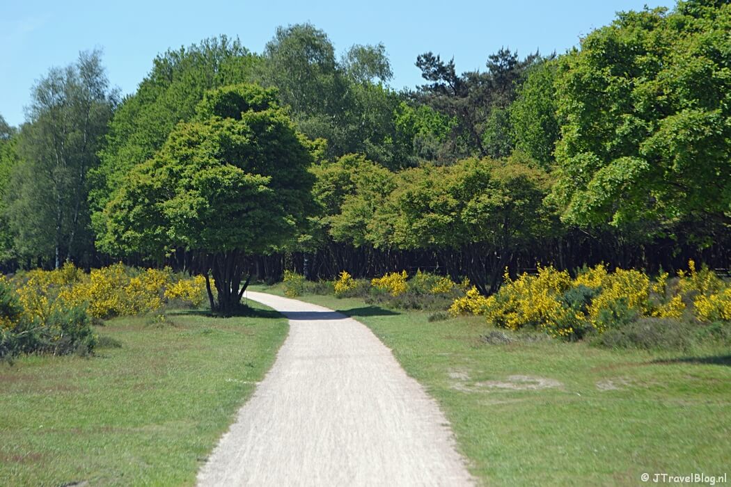 Overzicht van de Lange-Afstand-Wandelpaden (LAW's) in Nederland: Westerborkpad en Trekvogelpad