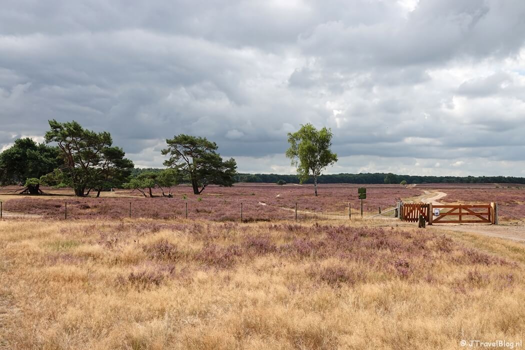 Bussumerheide tijdens de Trage Tocht Bussum