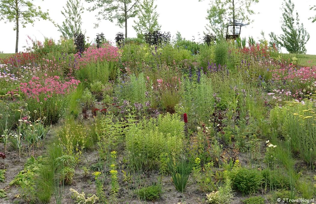 Classics & Future Moments