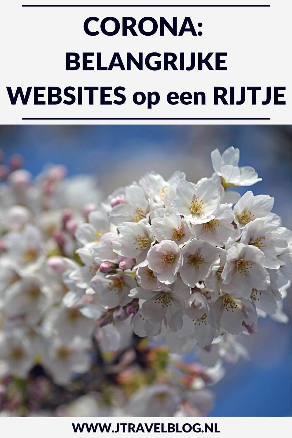 Corona. In deze blog heb ik een aantal belangrijke websites (bijv. reisorganisaties, RIVM en Rijksoverheid) ivm corona voor je op een rijtje gezet. #corona #tips #jtravelblog #jtravel #rivm #rijksoverheid #who #reisorganisaties #websites #covid-19 #coronacrisis #coronavirus