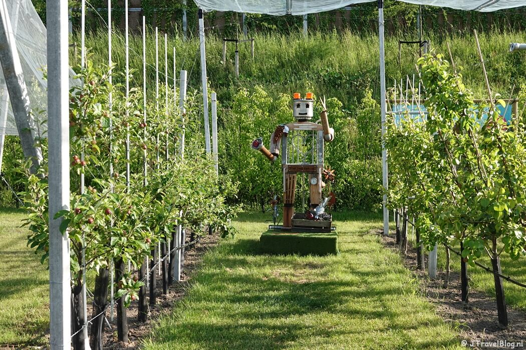 Cultuurgroep Fruitgewassen op de Floriade Expo 2022 in Almere