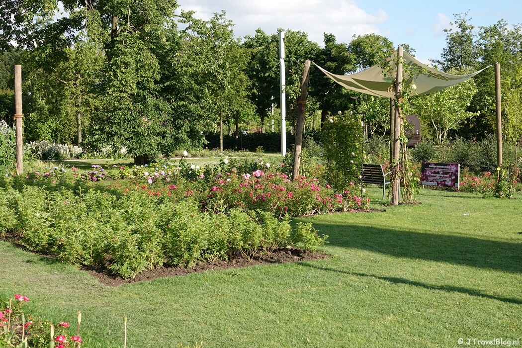 Cultuurgroep Rozen op de Floriade Expo 2022 in Almere