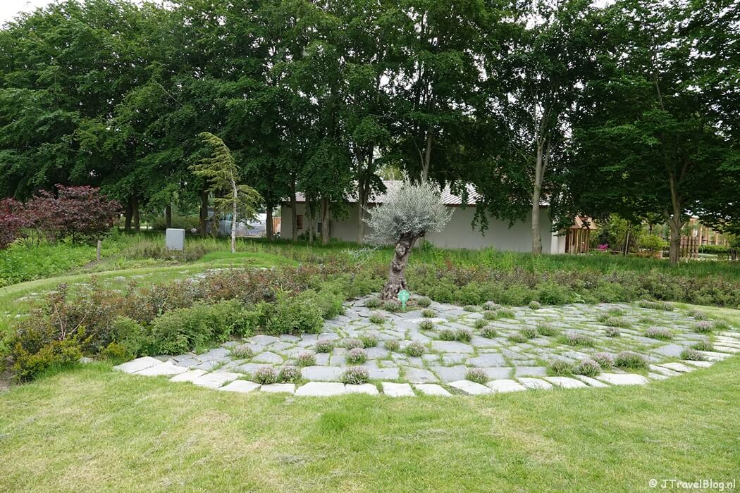 Cyprus op de Floriade Expo 2022 in Almere