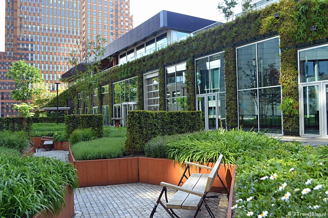 De CIRCL tijdens mijn wandeling langs het groene deel van de Amsterdamse Zuidas