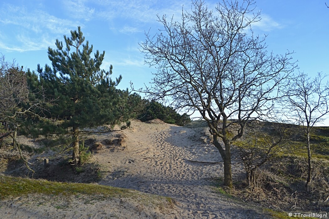 De Ezelenberg tijdens de bunkerroute in de Amsterdamse Waterleidingduinen