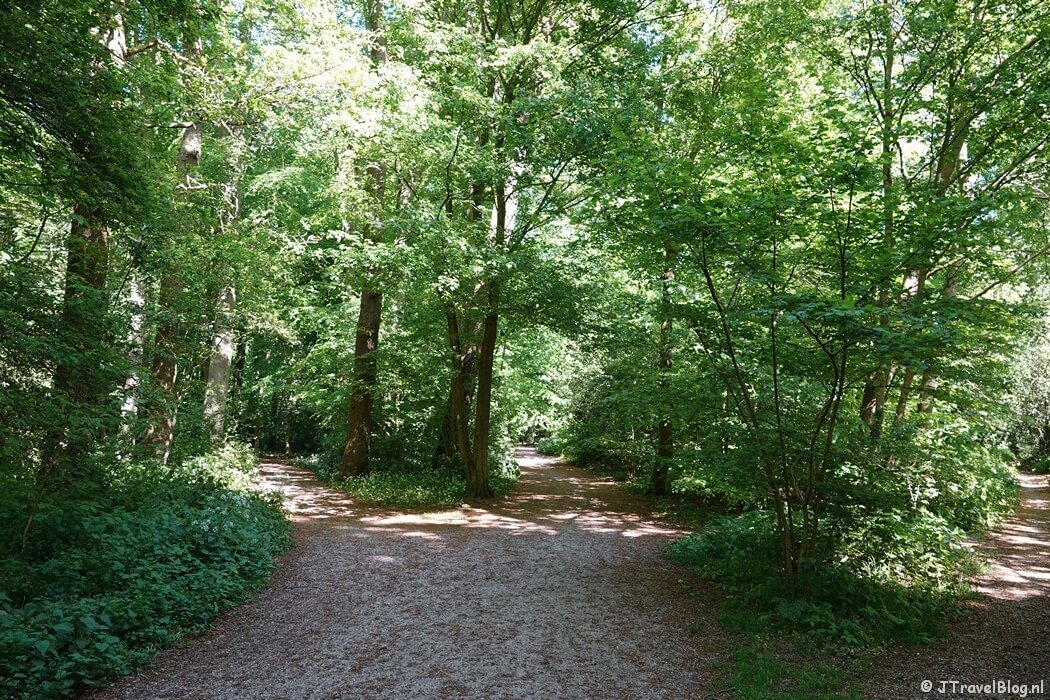De Haarlemmerhout tijdens de Trage Tocht Haarlem