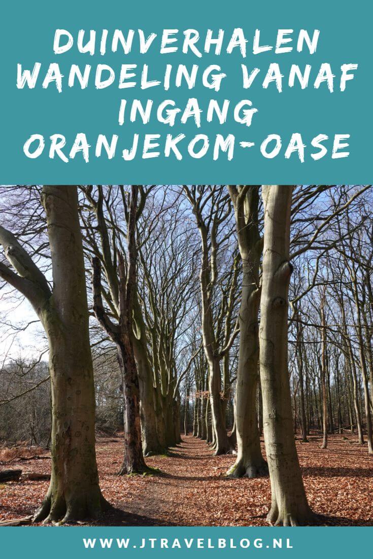 Ik liep de Duinverhalen wandeling in de Amsterdamse Waterleidingduinen vanaf ingang Oranjekom/Oase,een historische wandeling met een kijkje op het leven van vroeger. Aan de hand van de duinverhalen route ontdek je de geschiedenis van de duinen. Mijn route en de achtergronden lees je in deze blog. #duinverhalenwandeling #ingangoase #amsterdamsewaterleidingduinen #awd #wandelen #jtravel #jtravelblog