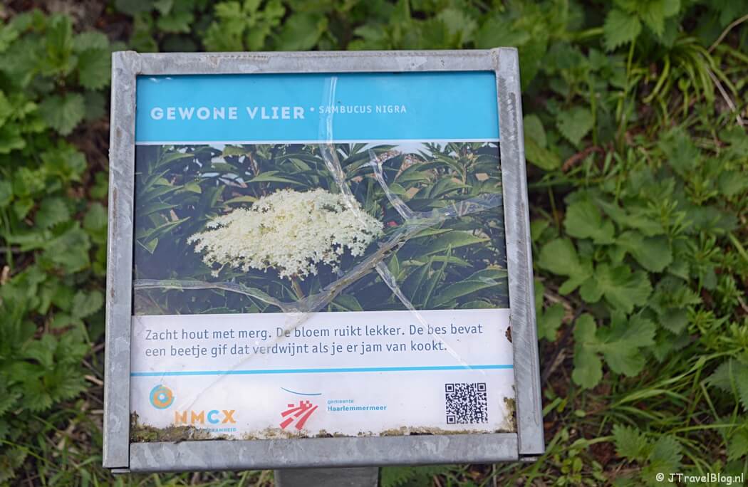 Educatie in het Haarlemmermeerse Bos in Hoofddorp tijdens de Trage Tocht Vijfhuizen