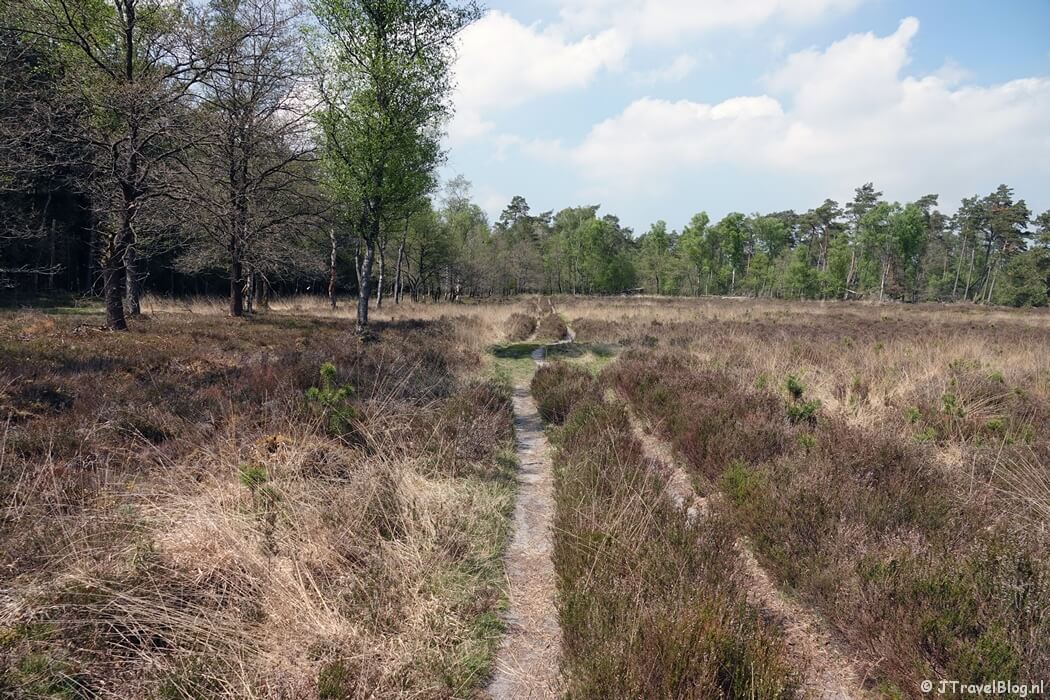Henk Mouwenveld tijdens de 14e etappe van het Westerborkpad