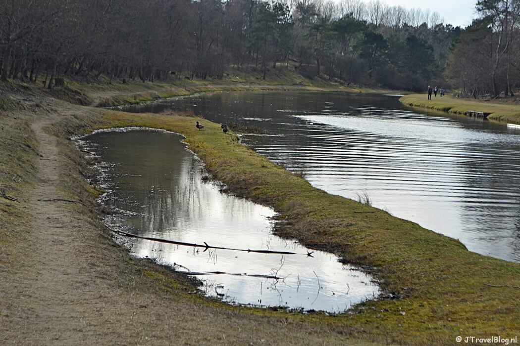Een poel langs het Noordoosterkanaal tijdens de bunkerroute in de Amsterdamse Waterleidingduinen