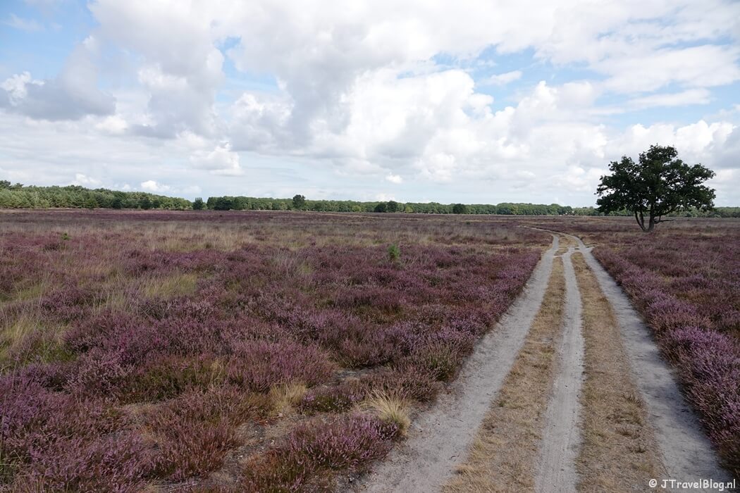 Bussumerheide tijdens de Trage Tocht Bussum