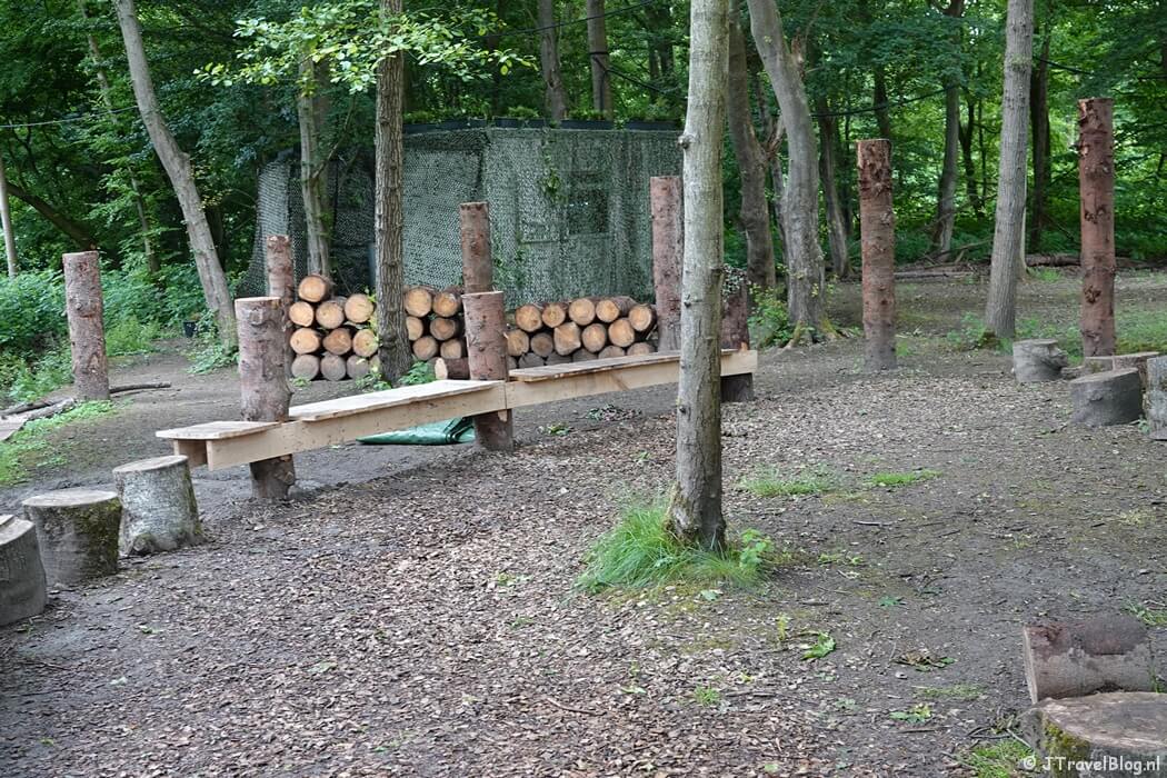 Forest art op de Floriade Expo 2022 in Almere
