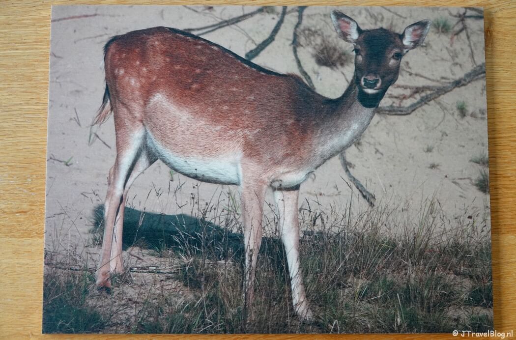 Foto op hout bij Drukwerknodig.nl