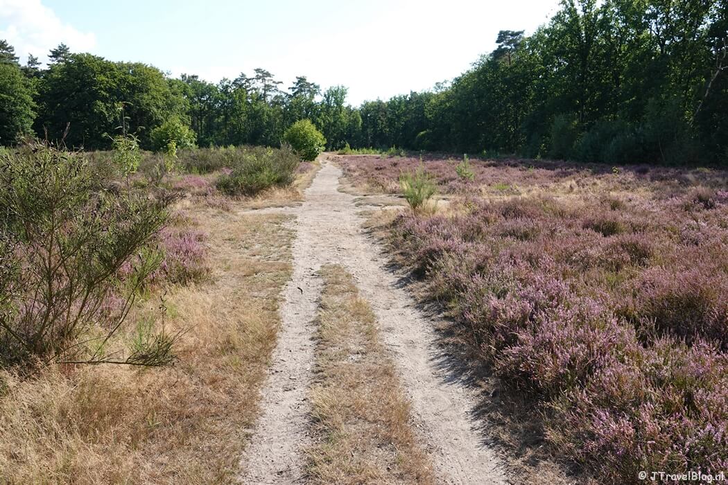 Fransche Kamp tijdens de Trage Tocht Bussum
