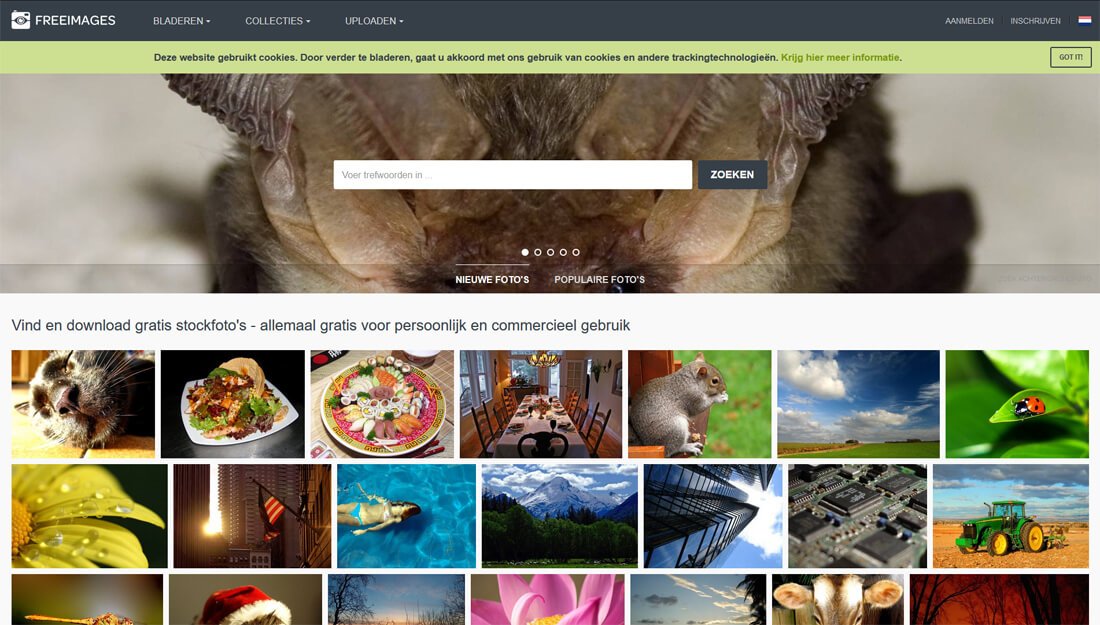 Freeimages: een website met gratis afbeeldingen