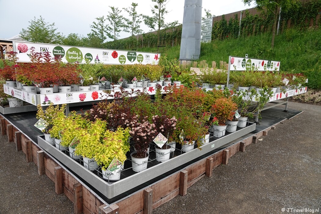 From Boskoop op de Floriade Expo 2022 in Almere