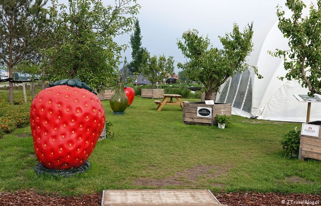 Fruithal Smits op de Floriade Expo 2022 in Almere
