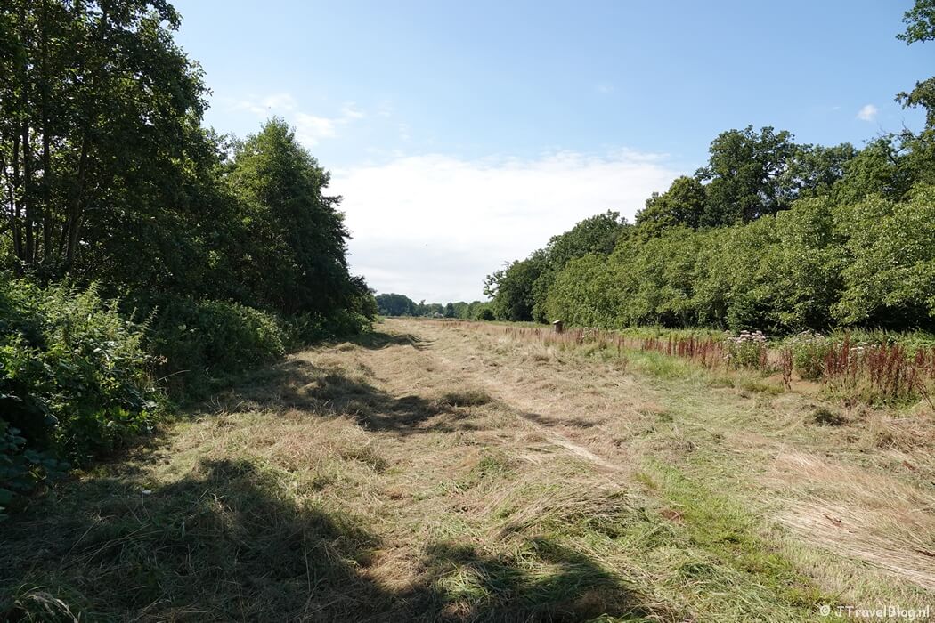 Grasland op Buitenplaats Boekesteyn tijdens de Trage Tocht Bussum