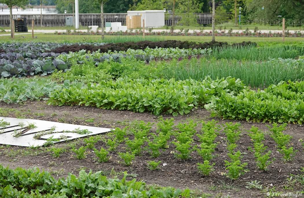 Flevofood op de Floriade Expo 2022 in Almere