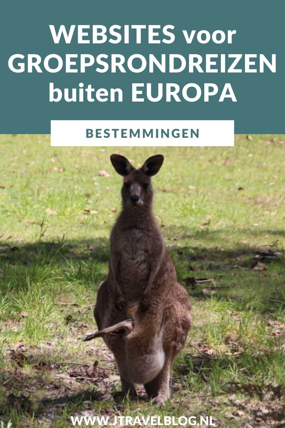 Ik heb een aantal betrouwbare websites voor het boeken van groepsrondreizen buiten Europa voor je op een rijtje gezet. #groepsrondreizen #groepsreis #groepsrondreizen #reisinspiratie #reistip #traveltip #travelinspiration #jtravelblog #jtravel