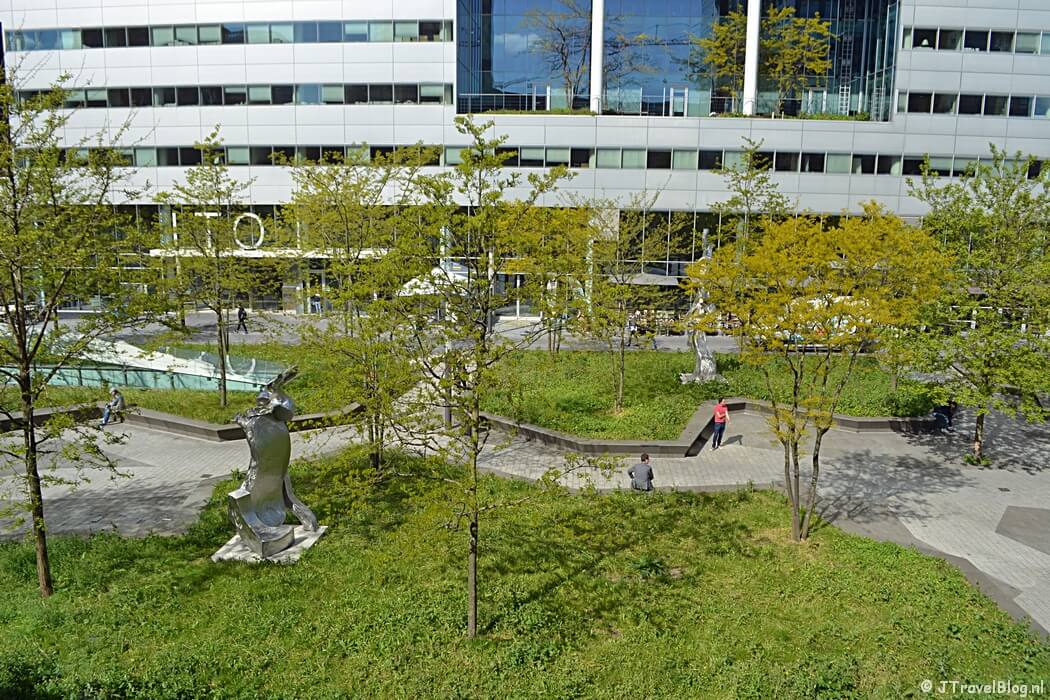 Het Gustav Mahlerplein vanaf de daktuin van de CIRCL tijdens mijn wandeling langs het groene deel van de Amsterdamse Zuidas