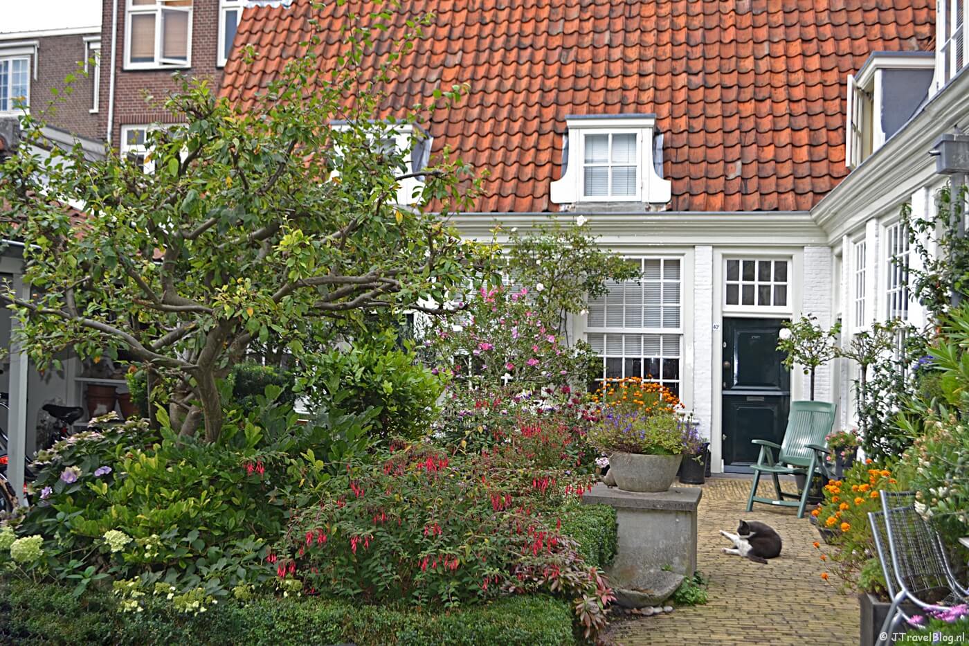 Het Hofje van Guurtje de Waal in Haarlem