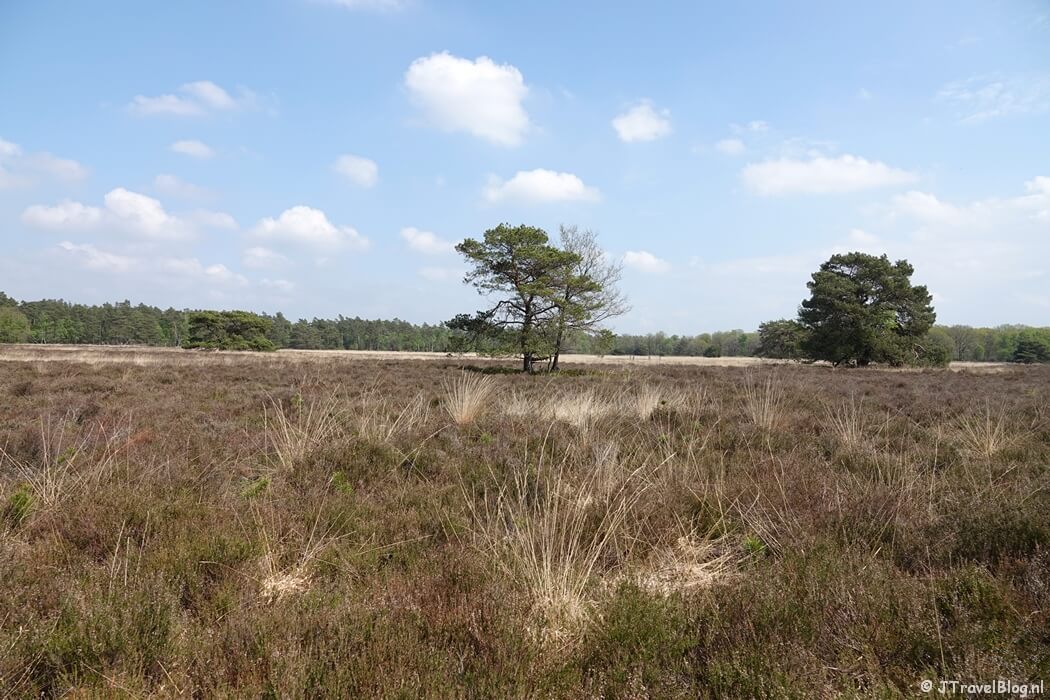 Henk Mouwenveld tijdens de 14e etappe van het Westerborkpad
