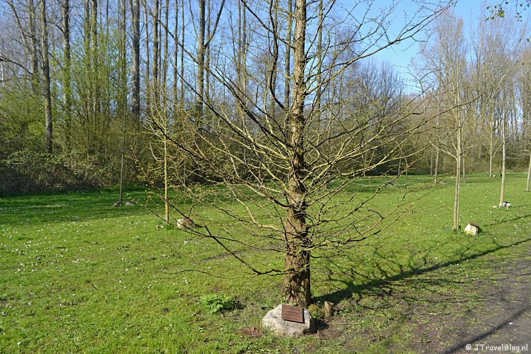 Het Herdenkingsbos in Recreatiegebied Groene Weelde tijdens de Trage Tocht Vijfhuizen