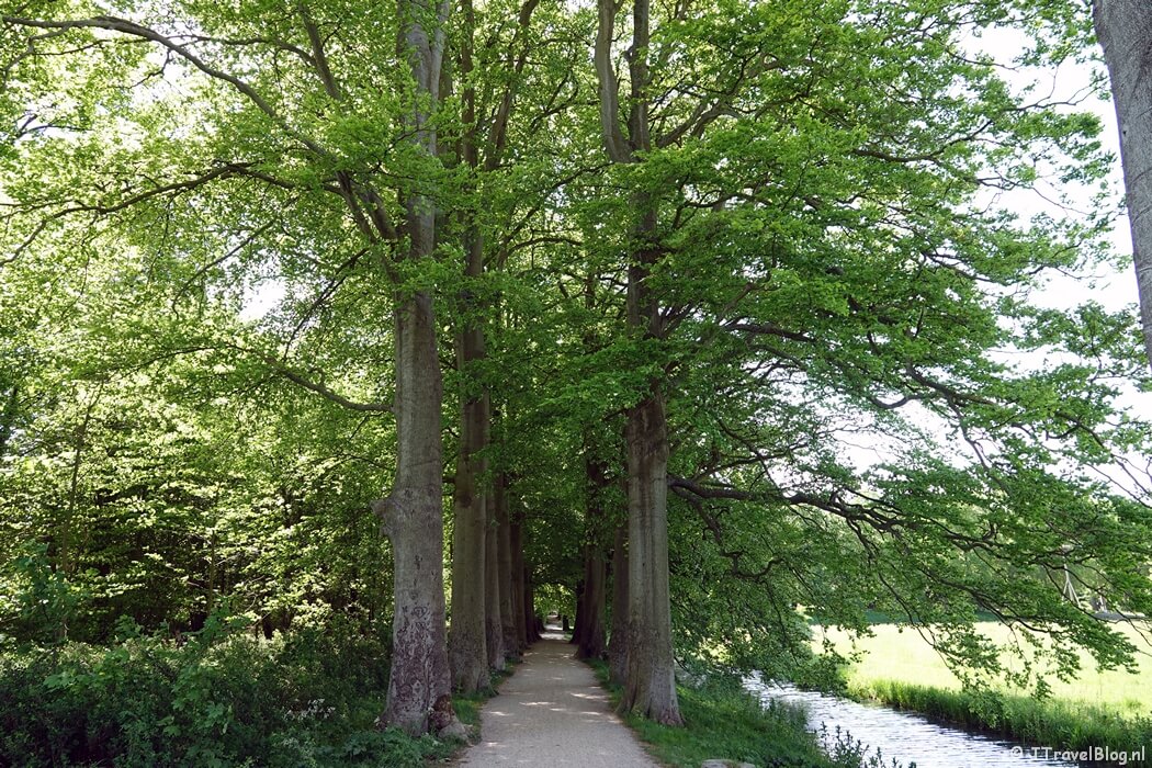 Pad naar Buitenplaats Elswout tijdens de Trage Tocht Haarlem