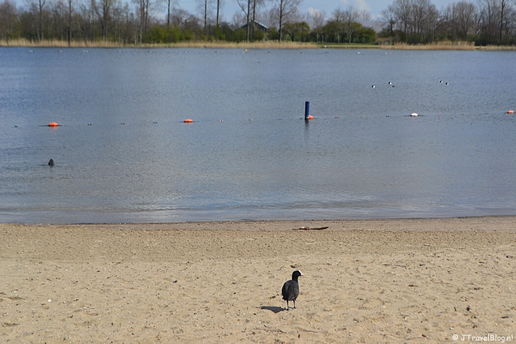 Het strand in het Haarlemmermeerse Bos in Hoofddorp tijdens de Trage Tocht Vijfhuizen