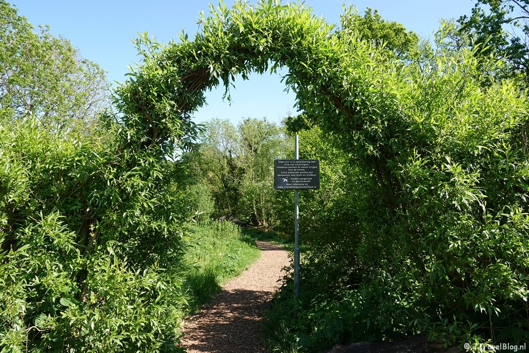 Het houtsnipperpad tijdens de Trage Tocht Haarlem