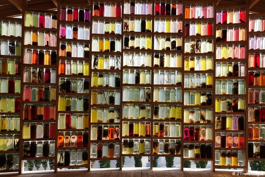 Almeerse Wolunie op de Floriade Expo 2022 in Almere