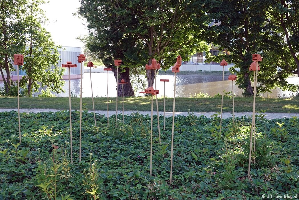 Insectendorp op de Floriade Expo 2022 in Almere