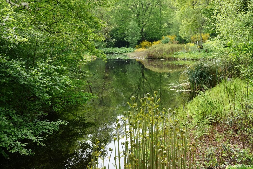 Heempark Jac. P. Thijsse tijdens de wandeling in het Amsterdamse Bos en de Amstelveense Heemparken