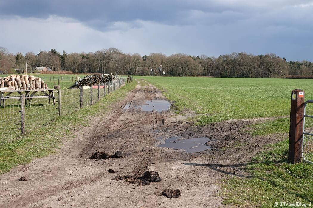 Het karrespoor in Hulshorst tijdens de 13e etappe van het Westerborkpad
