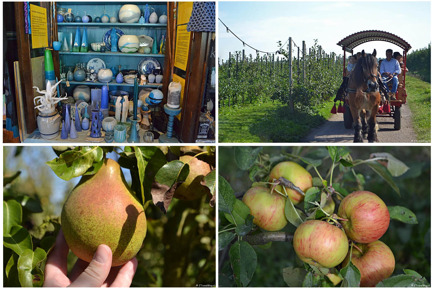 Landgoed De Olmenhorst in Lisserbroek