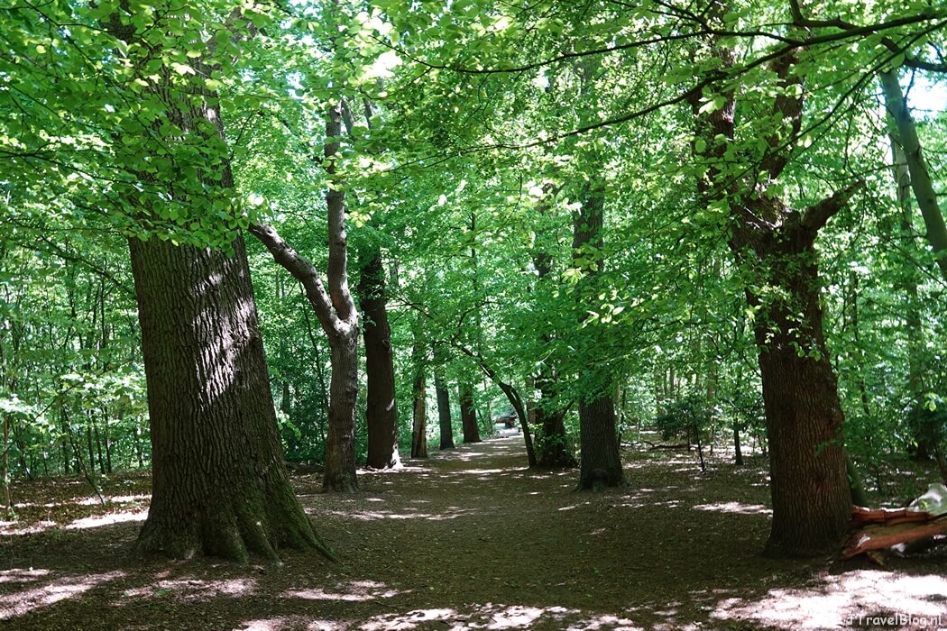 Landgoed Duinvliet tijdens de Trage Tocht Haarlem