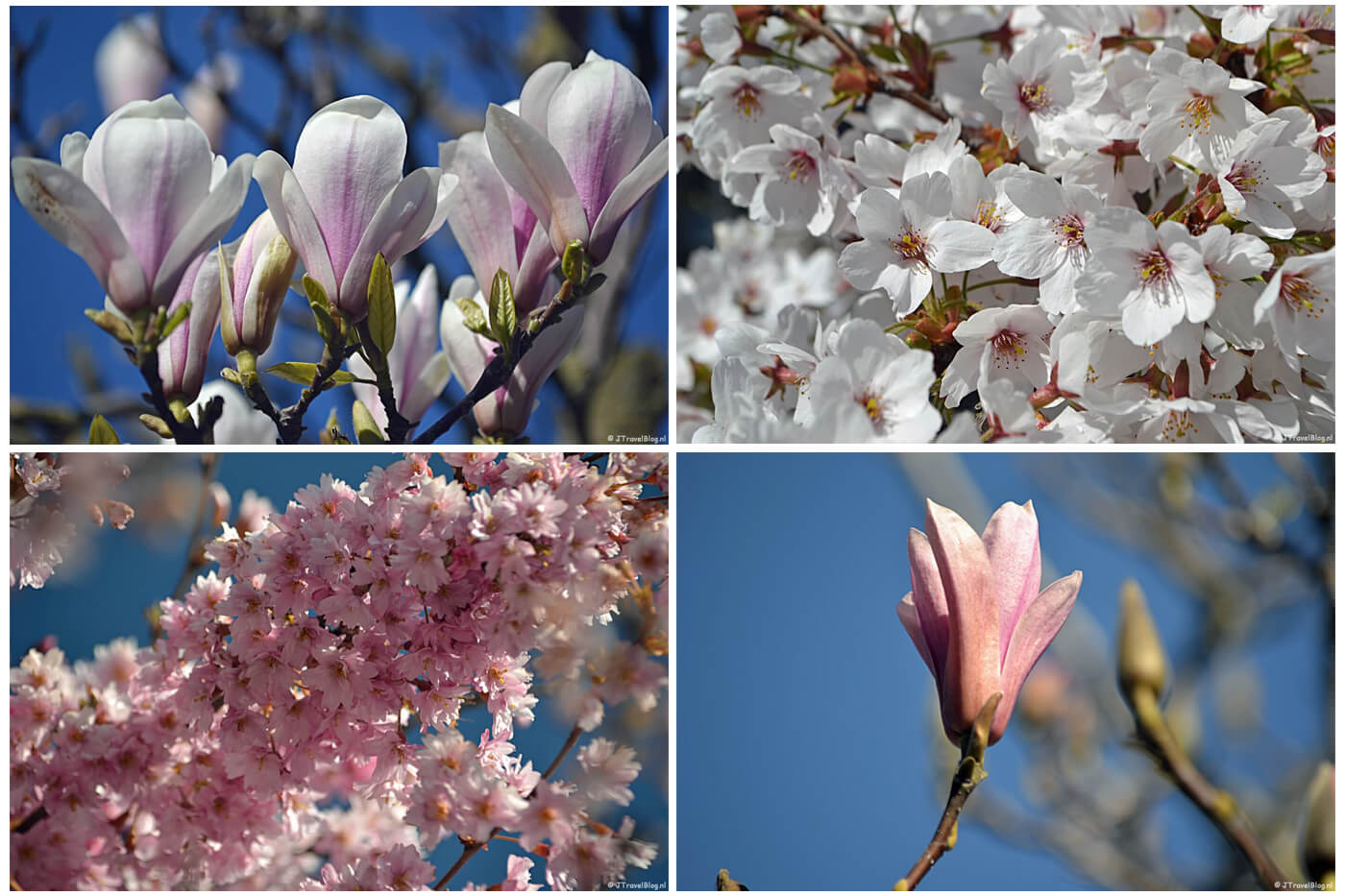 Lente, april 2019.