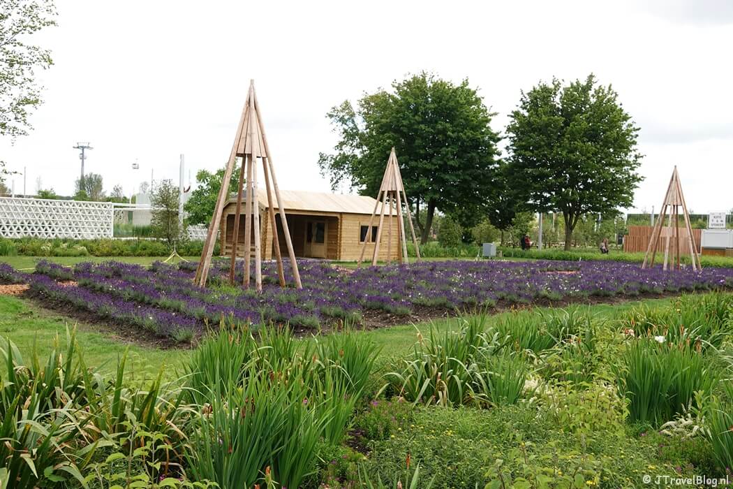Lisinia op de Floriade Expo 2022 in Almere