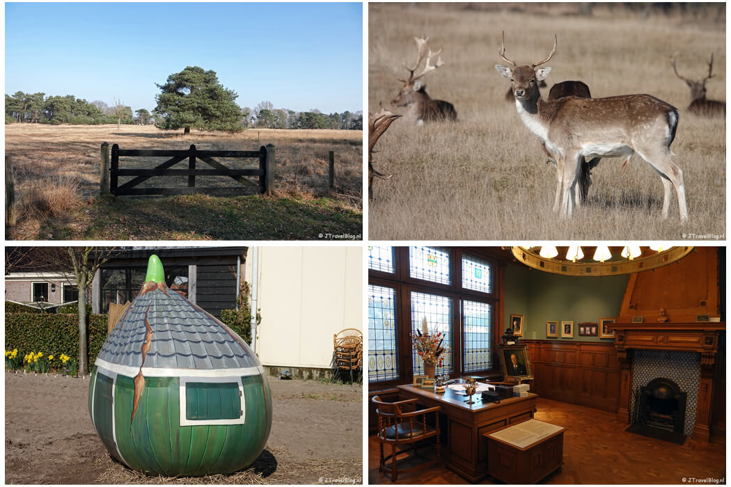Maart 2022: de 11e etappe van het Westerborkpad, een wandeling in de Amsterdamse Waterleidingduinen, Reuzenbollen in de Bollenstreek en Museum de Zwarte Tulp in Lisse