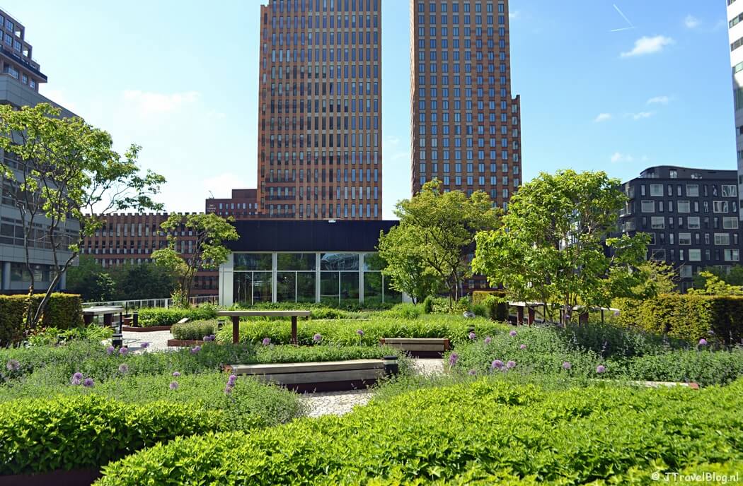 De daktuin van de CIRL tijdens mijn wandeling langs het groene deel van de Amsterdamse Zuidas