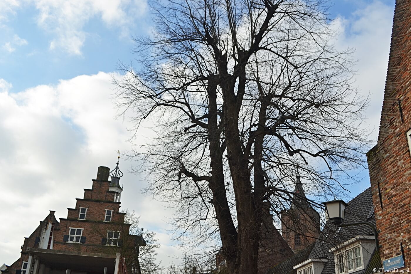 De stadslinde van Naarden
