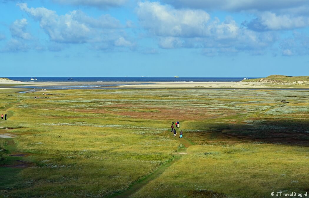 Natuurgebied De Slufter op Texel