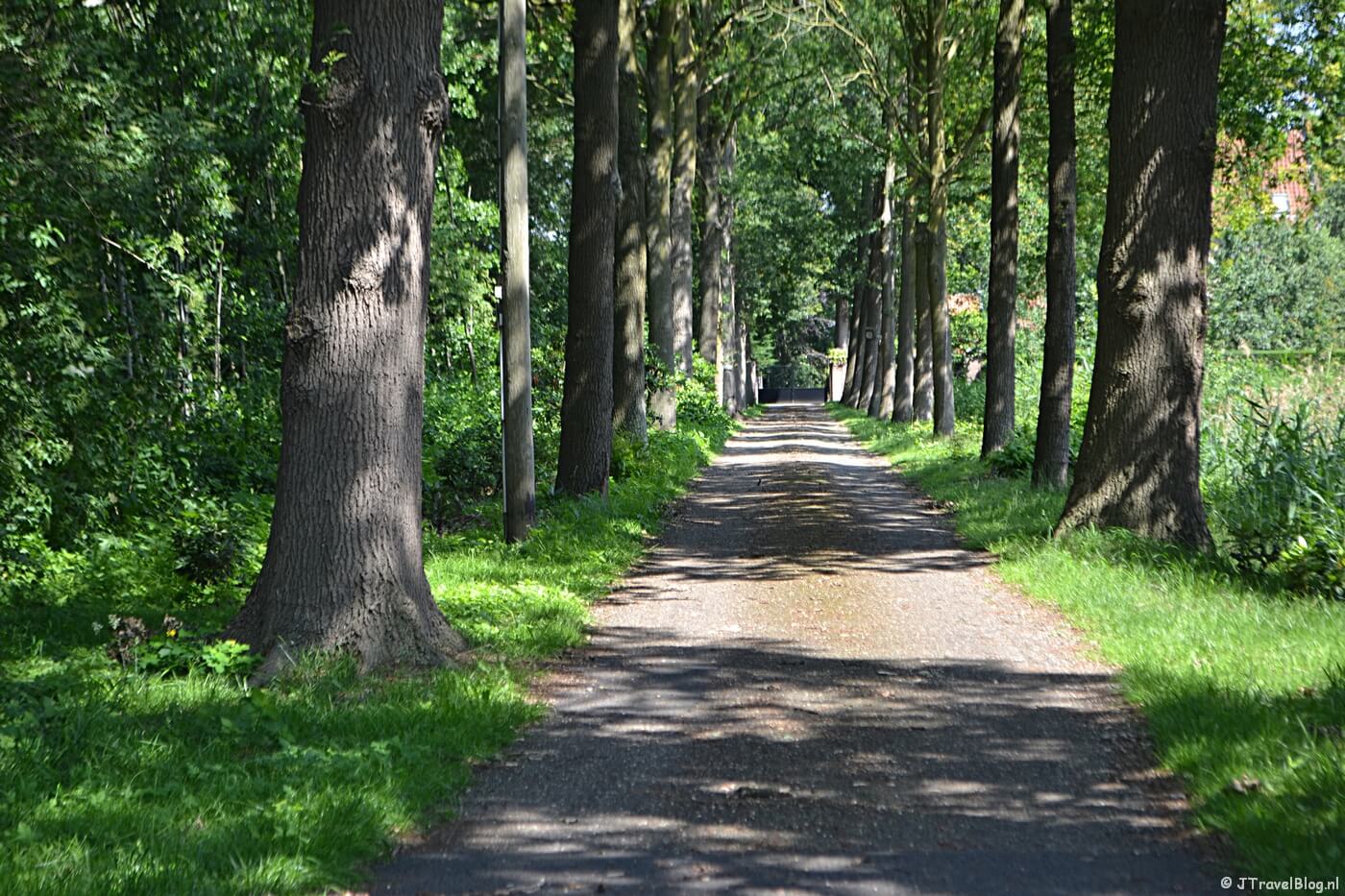De Hemmelerweg net buiten Nijkerk